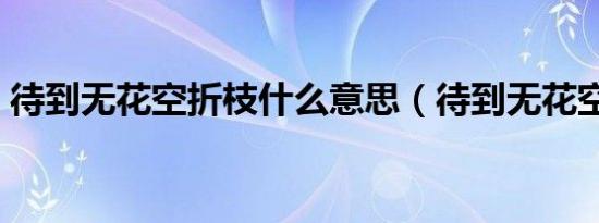 待到无花空折枝什么意思（待到无花空折枝）