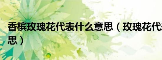 香槟玫瑰花代表什么意思（玫瑰花代表什么意思）