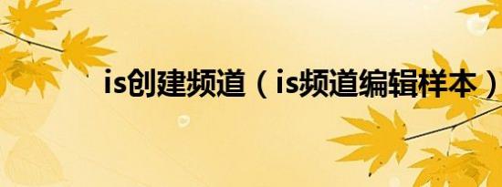 is创建频道（is频道编辑样本）