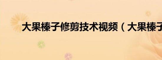 大果榛子修剪技术视频（大果榛子）