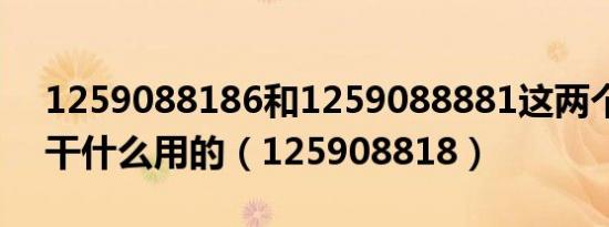 1259088186和1259088881这两个号码是干什么用的（125908818）