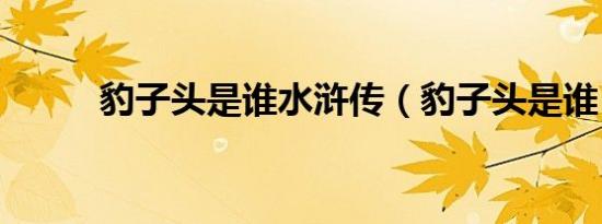 豹子头是谁水浒传（豹子头是谁）