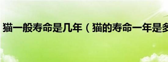 猫一般寿命是几年（猫的寿命一年是多少岁）