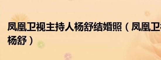 凤凰卫视主持人杨舒结婚照（凤凰卫视主持人杨舒）