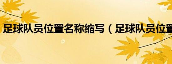 足球队员位置名称缩写（足球队员位置名称）