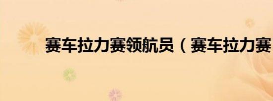 赛车拉力赛领航员（赛车拉力赛）