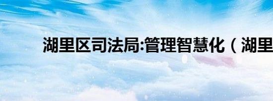 湖里区司法局:管理智慧化（湖里）