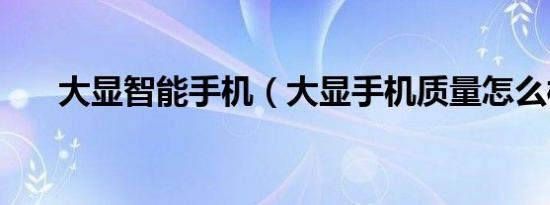 大显智能手机（大显手机质量怎么样）