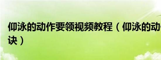 仰泳的动作要领视频教程（仰泳的动作要领口诀）