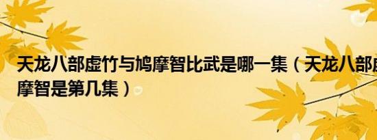 天龙八部虚竹与鸠摩智比武是哪一集（天龙八部虚竹大战鸠摩智是第几集）