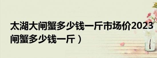 太湖大闸蟹多少钱一斤市场价2023（太湖大闸蟹多少钱一斤）
