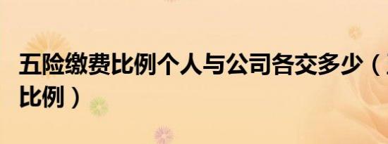 五险缴费比例个人与公司各交多少（五险缴费比例）