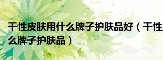 干性皮肤用什么牌子护肤品好（干性皮肤用什么牌子护肤品）