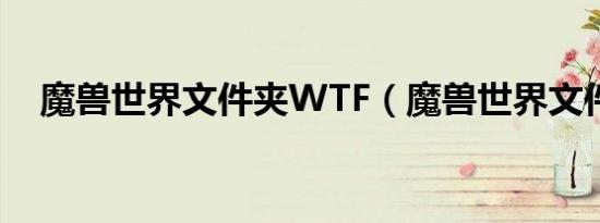 魔兽世界文件夹WTF（魔兽世界文件夹）
