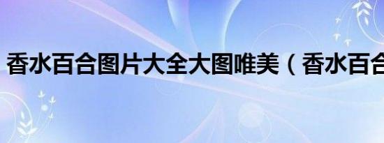 香水百合图片大全大图唯美（香水百合图片）