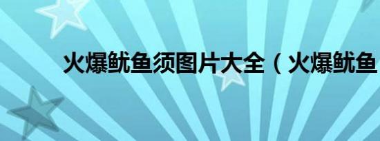 火爆鱿鱼须图片大全（火爆鱿鱼）