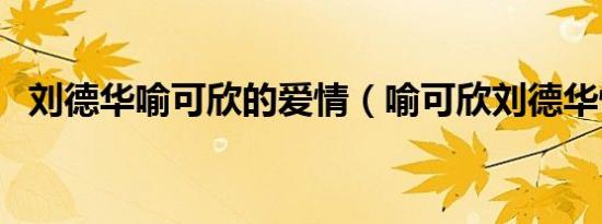 刘德华喻可欣的爱情（喻可欣刘德华性史）