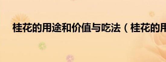 桂花的用途和价值与吃法（桂花的用途）