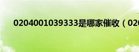 0204001039333是哪家催收（0204）