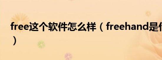 free这个软件怎么样（freehand是什么软件）