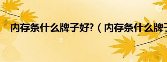内存条什么牌子好?（内存条什么牌子好）