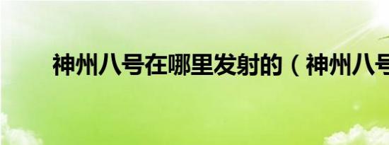 神州八号在哪里发射的（神州八号）