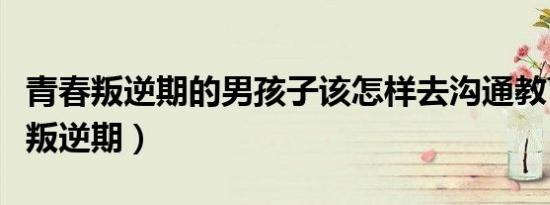 青春叛逆期的男孩子该怎样去沟通教育（青春叛逆期）