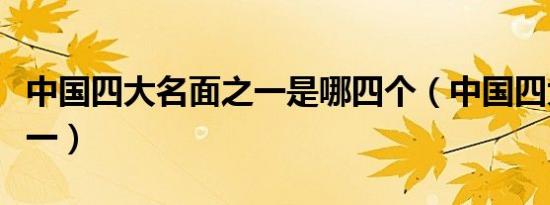 中国四大名面之一是哪四个（中国四大名面之一）