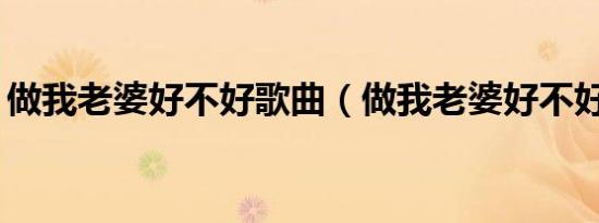 做我老婆好不好歌曲（做我老婆好不好mp3）