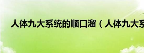 人体九大系统的顺口溜（人体九大系统）
