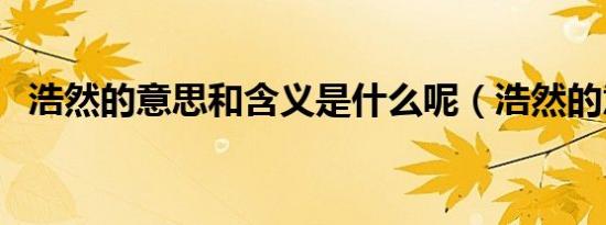 浩然的意思和含义是什么呢（浩然的意思）