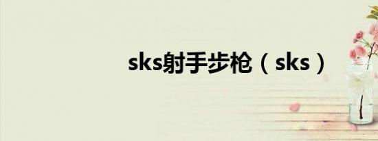 sks射手步枪（sks）