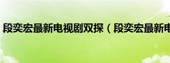 段奕宏最新电视剧双探（段奕宏最新电视剧）