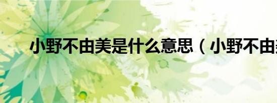 小野不由美是什么意思（小野不由美）