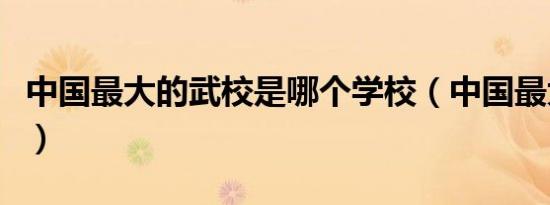 中国最大的武校是哪个学校（中国最大的武校）