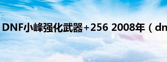 DNF小峰强化武器+256 2008年（dnf小峰）