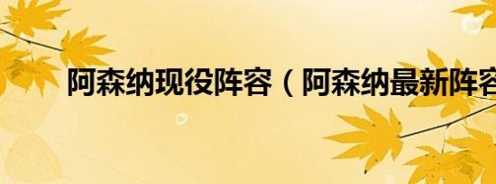 阿森纳现役阵容（阿森纳最新阵容）