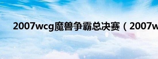 2007wcg魔兽争霸总决赛（2007wcg）