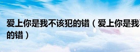 爱上你是我不该犯的错（爱上你是我不小心犯的错）