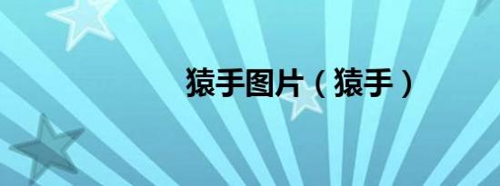 猿手图片（猿手）