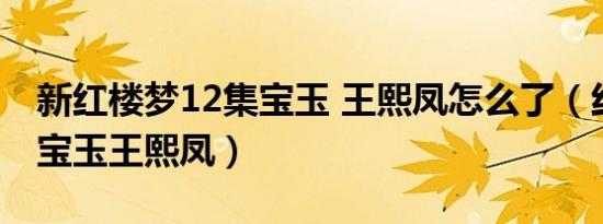 新红楼梦12集宝玉 王熙凤怎么了（红楼遗梦宝玉王熙凤）