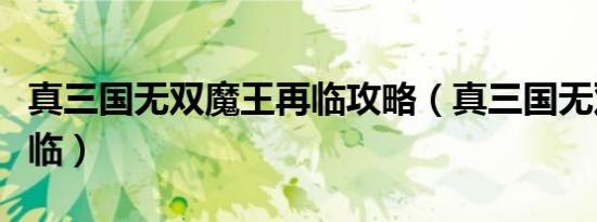 真三国无双魔王再临攻略（真三国无双魔王降临）