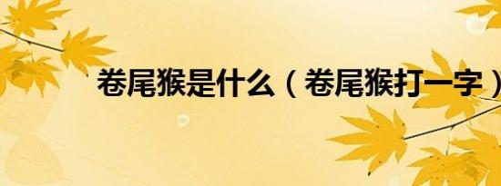 卷尾猴是什么（卷尾猴打一字）