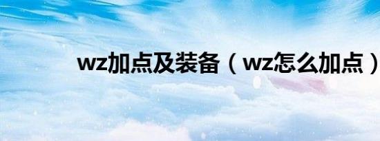 wz加点及装备（wz怎么加点）