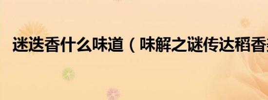 迷迭香什么味道（味解之谜传达稻香美味）