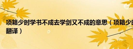 项籍少时学书不成去学剑又不成的意思（项籍少时学书不成翻译）