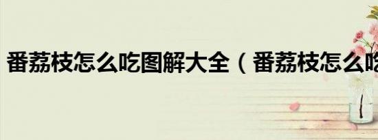 番荔枝怎么吃图解大全（番荔枝怎么吃图解）