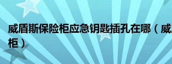 威盾斯保险柜应急钥匙插孔在哪（威盾斯保险柜）