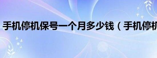 手机停机保号一个月多少钱（手机停机保号）