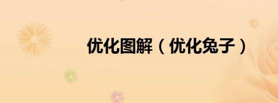 优化图解（优化兔子）